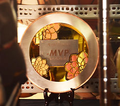 MVP shield (36)edit.jpg
