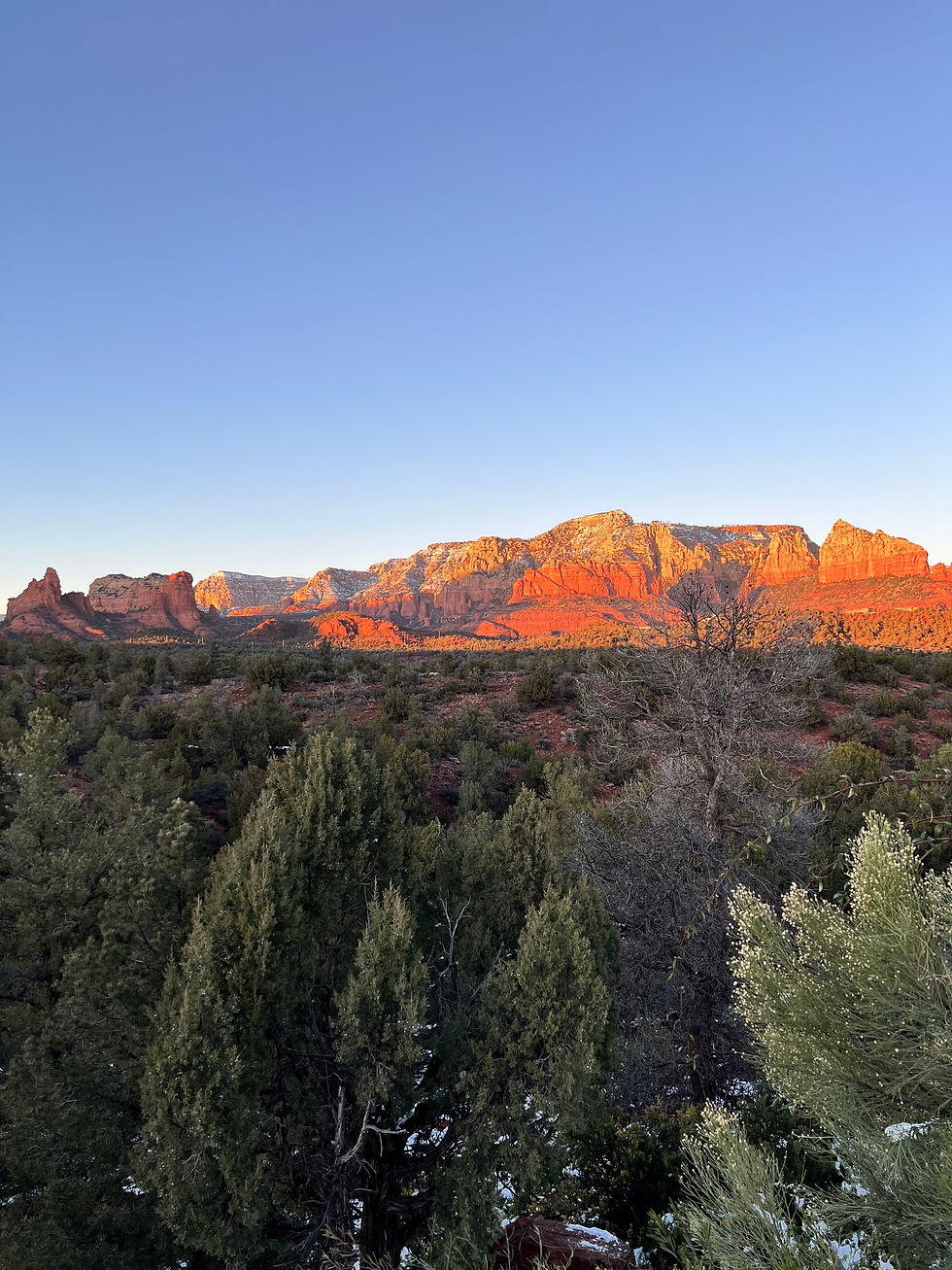 Beautiful blue sky evening with sun basked red rock formations and plateaus and green trees and scrub brush.