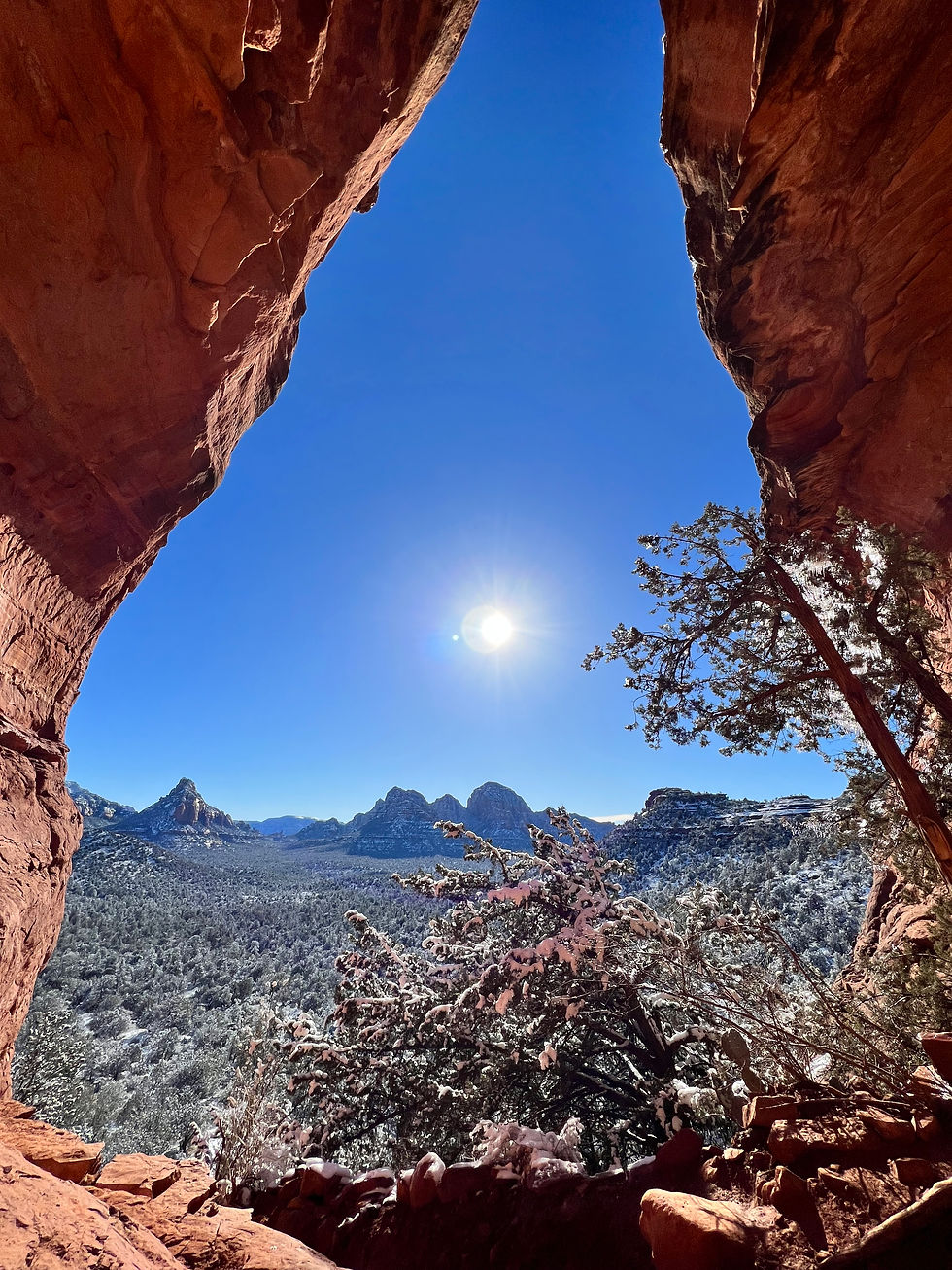 Snow and ice covered scrub brush and trees surrounded by red rocks looking out to a vast Arizona desert landscape with monumental rock formations on a rich blue sky day with the sun shining bright.