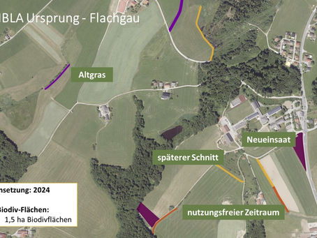 Austausch Modellbetriebe