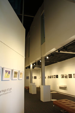 Walking In Gallery
