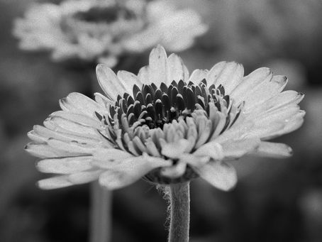 Islam Isn't Black Or White; It's Shades of Grey. 