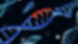 mutaiton DNA.jpg