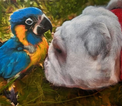 Oil Painting 