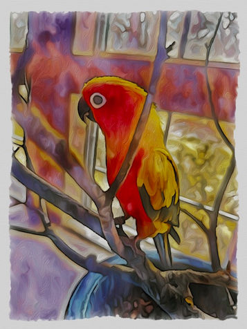 Pet Painting 