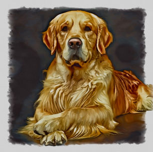 Pet Painting dog 