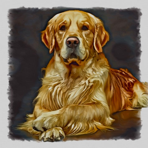 Dog Pet Painting 