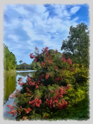 The Japanese Cherry Tree over water