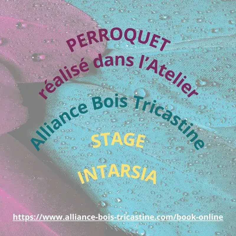 Miniature : Intarsia Bois Motif Perroquet
