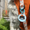 Thumbnail: Cat - Jelly NFC tag