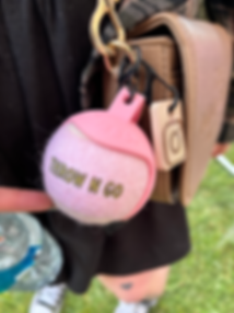 Throw n go ball