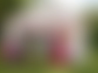 The Henley Arts Trail turns 20