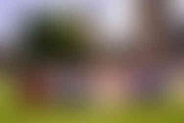 Family group shot at cardiff castle wedding