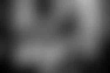 Margam Park wedding by margam park wedding photographer