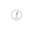 logo take 500_edited.png
