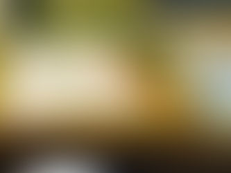 The Five Finger Test