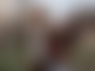 Девочки и лошадки