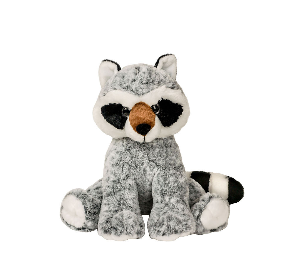 Bandit the Raccoon