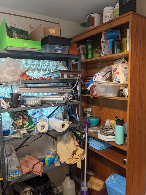 2021-07-27 11.15.19.jpg