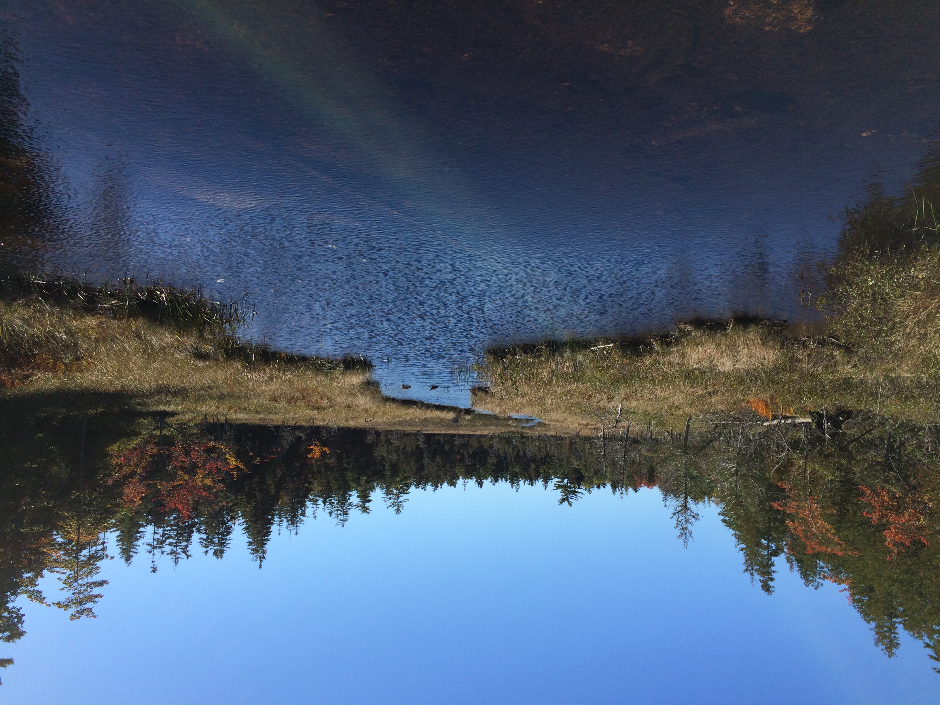 stream, Acadia National Park
