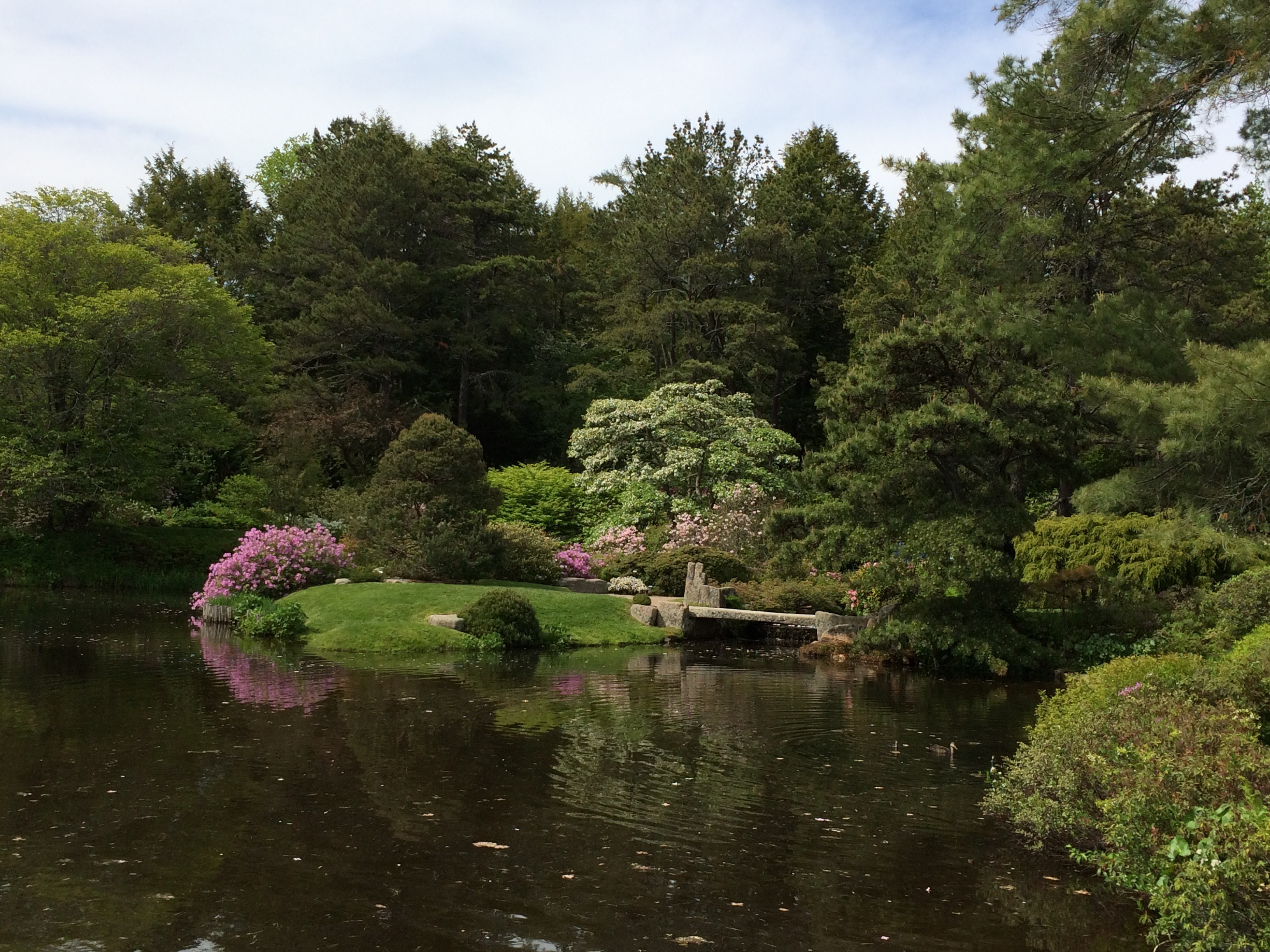 Asticou Azalea Garden