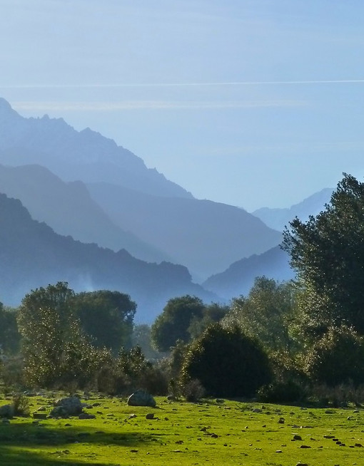 Sème à Vie - à propos