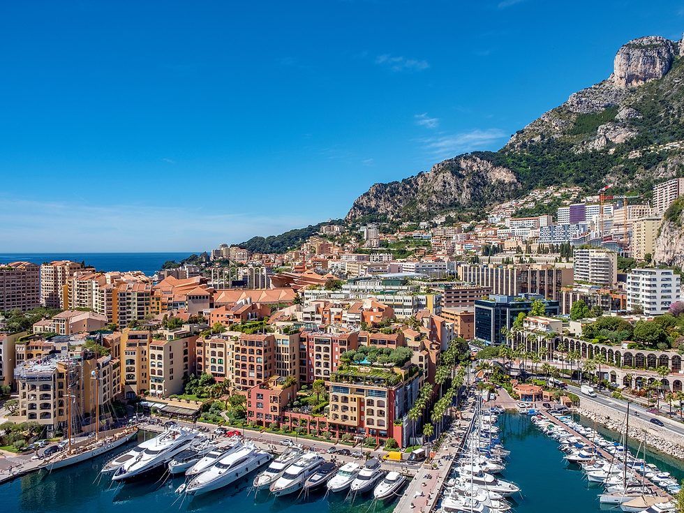 Untitled Design (18).png