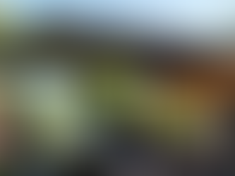 Un véhicule electrique en charge sous un patio d'une villa moderne