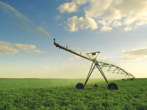 Sin inmigrantes indocumentados, ¿quién ara los campos de cultivo de California?