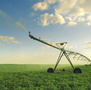 Innovative Irrigation: Transforming Agriculture with ‘Plow Without a Plow’ Technology