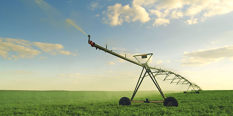AI in Agriculture: The Smart Farming Revolution Feeding the Future