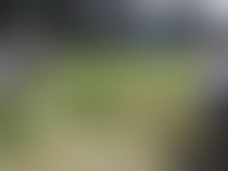 Summer Enemies 1: Mowing