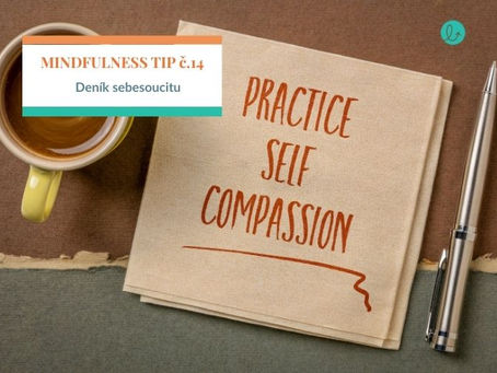 Tip č. 14: Deník sebesoucitu