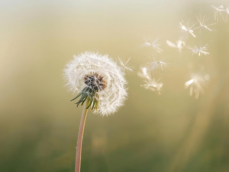 The Breath That Unwinds You