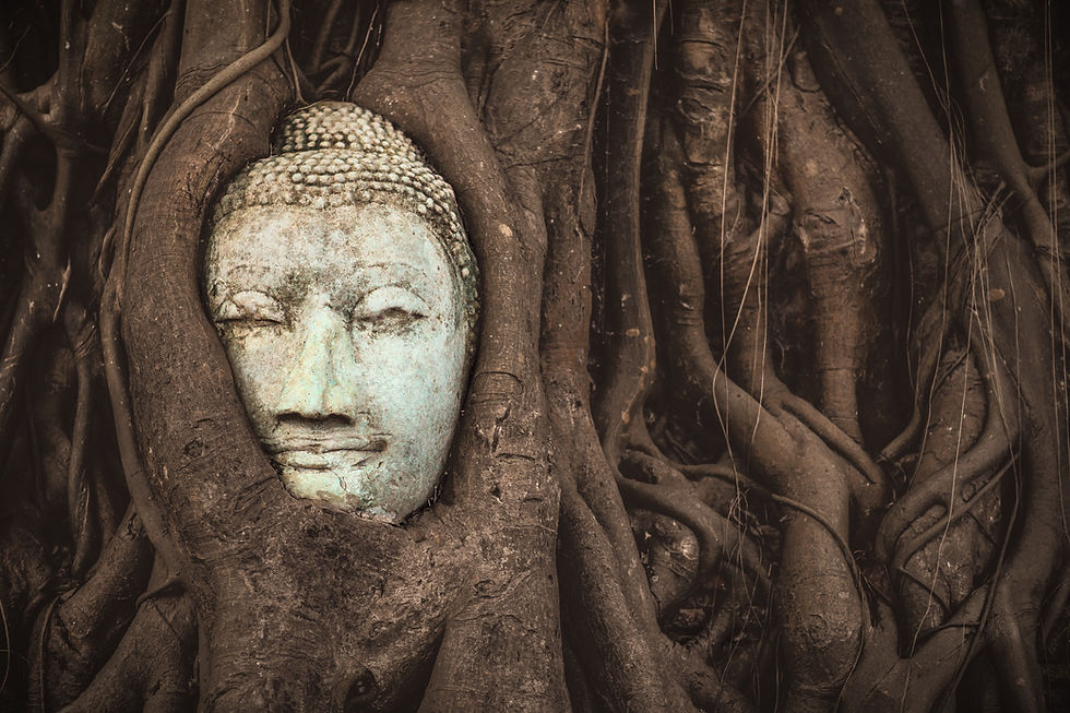 Wat Mahathat's Buddha Head mindfulness sati meditation practice faq common questions