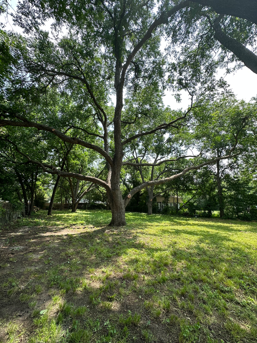 RJ Tree Service