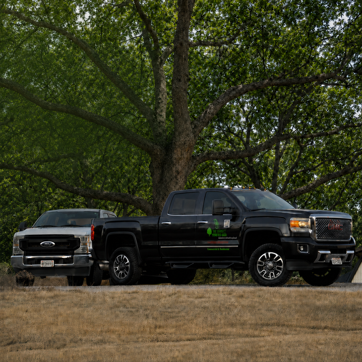 RJ Tree Service