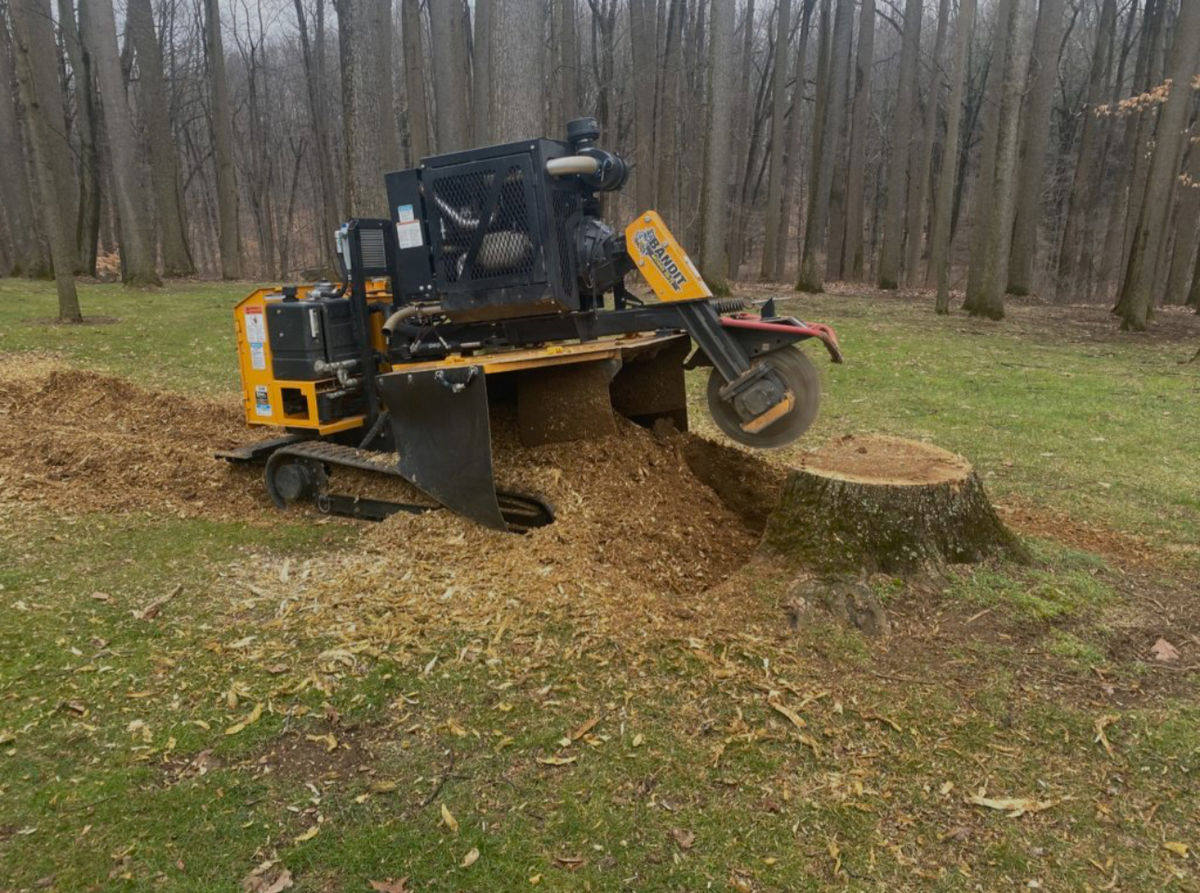 RJ Tree Service