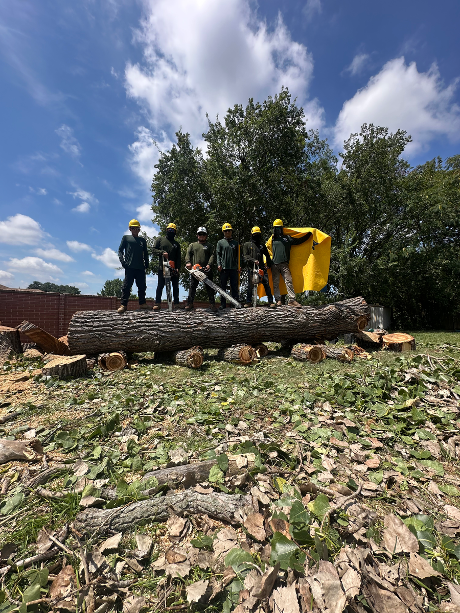 RJ Tree Service