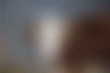 CARLA braucht jetzt viel Glück ❤️