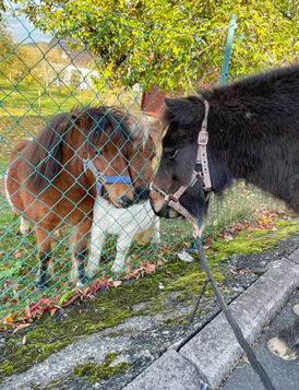 Ausflug bei Sonnenschein, was gibt's schöneres?! ❤️