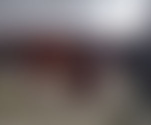 Unser Haudegen ZEUS nach erneuter erfolgter Klauenpflege! ❤️