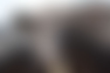 MARIS ist über die Regenbogenbrücke gegangen. 🖤