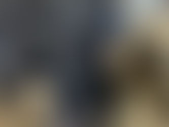 HETTY und ihre Kinder brauchen Hilfe. Schaffen wir es sie ALLE zu retten? ❤