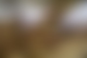 Unser Wirbelwind Lilibeth ❤️