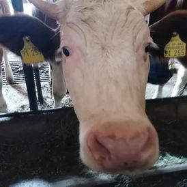 REHANELSE braucht dringend Hilfe! ❤️