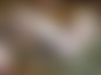 Heidi und Quendolin ❤️