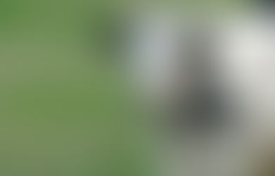 GRETEL ist endlich wieder Zuhause ❤️