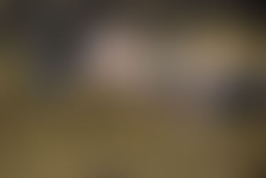 Unsere Schweine in Augsburg wünschen Euch einen GUTEN MORGEN ❤️