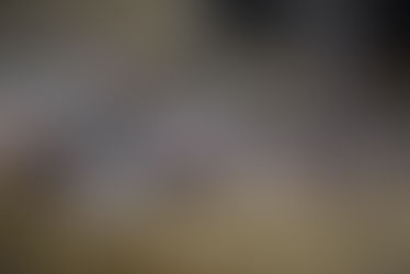 Unsere Schweine wünschen Euch einen schönen Wochenstart ❤️